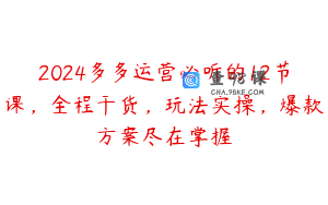 2024多多运营必听的12节课，全程干货，玩法实操，爆款方案尽在掌握
