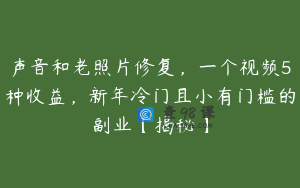 声音和老照片修复，一个视频5种收益，新年冷门且小有门槛的副业【揭秘】