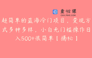 超简单的蓝海冷门项目,变现方式多种多样,小白无门槛操作日入500+很简单【揭秘】