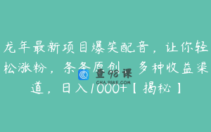 龙年最新项目爆笑配音，让你轻松涨粉，条条原创，多种收益渠道，日入1000+【揭秘】