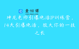 坤龙老师引爆绝活IP训练营，14天引爆绝活，放大你的一技之长