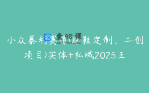 小众暴利赛道(球鞋定制，二创项目)实体+私域2025王