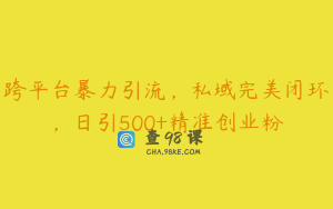 跨平台暴力引流，私域完美闭环，日引500+精准创业粉