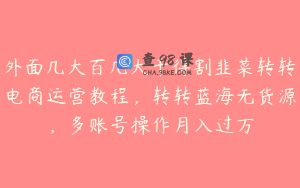 外面几大百几大千得割韭菜转转电商运营教程，转转蓝海无货源，多账号操作月入过万