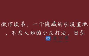 微信读书，一个隐藏的引流宝地，不为人知的小众打法，日引