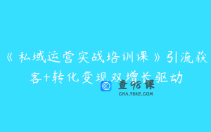《私域运营实战培训课》引流获客+转化变现双增长驱动