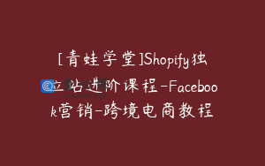 [青蛙学堂]Shopify独立站进阶课程-Facebook营销-跨境电商教程