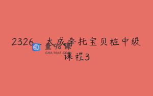 2326_大成拳托宝贝桩中级课程3