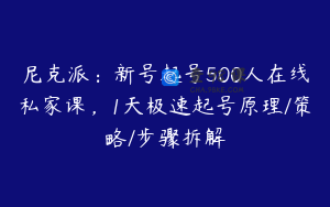 尼克派：新号起号500人在线私家课，1天极速起号原理/策略/步骤拆解