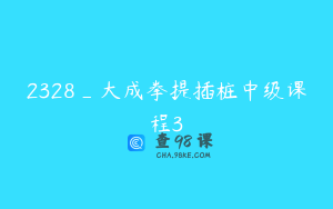 2328_大成拳提插桩中级课程3