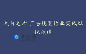 大白老师 广告视觉行业实战班视频课