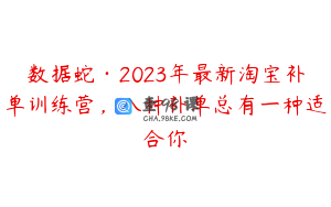数据蛇·2023年最新淘宝补单训练营，八种补单总有一种适合你