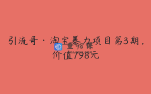 引流哥·淘宝暴力项目第3期，价值798元