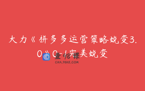 大力《拼多多运营策略蜕变3.0》0-1完美蜕变