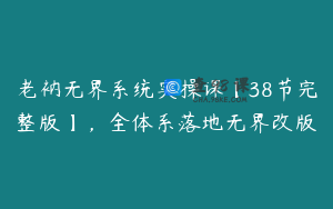 老衲无界系统实操课【38节完整版】，全体系落地无界改版