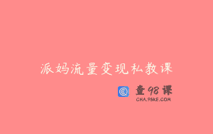 派妈流量变现私教课