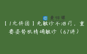 【1元拼团】无触诊不治疗，重要姿势肌精确触诊（67讲）