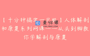 【十分钟搞定一只肌】人体解剖和康复系列网课——从头到脚教你学解剖与康复