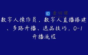 数字人操作员，数字人直播搭建、多路开播、选品技巧，0-1开播流程
