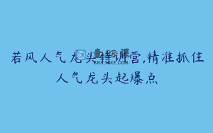 若风人气龙头特训营,精准抓住人气龙头起爆点