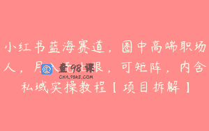 小红书蓝海赛道，圈中高端职场人，月入无上限，可矩阵，内含私域实操教程【项目拆解】