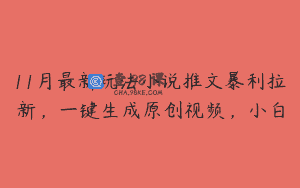 11月最新玩法小说推文暴利拉新，一键生成原创视频，小白