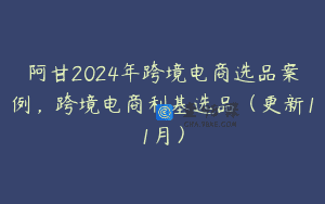 阿甘2024年跨境电商选品案例，跨境电商利基选品（更新11月）