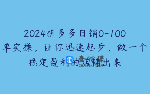 2024拼多多日销0-100单实操，让你迅速起步，做一个稳定盈利的店铺出来