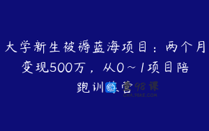 大学新生被褥蓝海项目：两个月变现500万，从0~1项目陪跑训练营