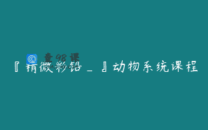 『精微彩铅_』动物系统课程