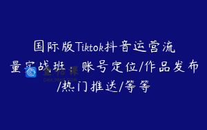 国际版Tiktok抖音运营流量实战班:账号定位/作品发布/热门推送/等等