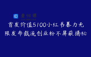 首发价值5100小红书暴力无限发布截流创业粉不屏蔽揭秘