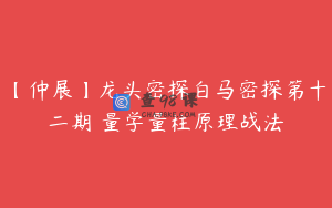 【仲展】龙头密探白马密探第十二期 量学量柱原理战法