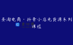 圣淘电商·抖音小店无货源系列课程