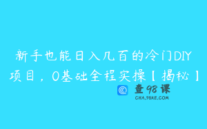 新手也能日入几百的冷门DIY项目，0基础全程实操【揭秘】