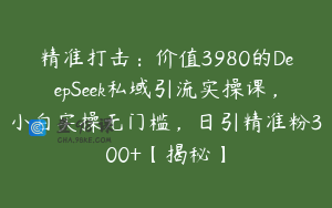 精准打击：价值3980的DeepSeek私域引流实操课，小白实操无门槛，日引精准粉300+【揭秘】