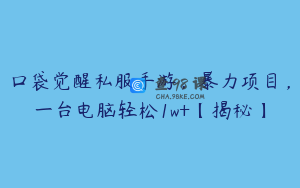 口袋觉醒私服手游，暴力项目，一台电脑轻松1w+【揭秘】