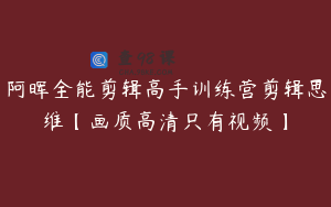 阿晖全能剪辑高手训练营剪辑思维【画质高清只有视频】