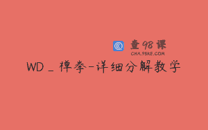 WD_禅拳-详细分解教学