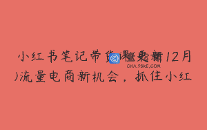 小红书笔记带货课(更新12月)流量电商新机会，抓住小红