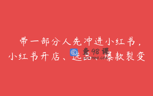 ​​带一部分人先冲进小红书，小红书开店、选品、爆款裂变