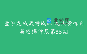 量学龙威武特战队 龙头密探白马密探仲展第33期