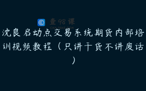 沈良启动点交易系统期货内部培训视频教程（只讲干货不讲废话）
