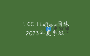 【CC】Luffypig团练2023年夏季班