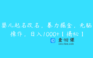 婴儿起名改名,暴力掘金,无脑操作,日入1000+【揭秘】