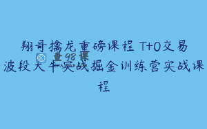 翔哥擒龙重磅课程 T+0交易波段大牛实战掘金训练营实战课程