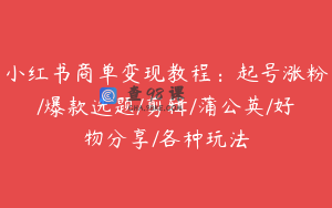 小红书商单变现教程：起号涨粉/爆款选题/剪辑/蒲公英/好物分享/各种玩法