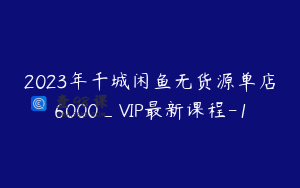 2023年千城闲鱼无货源单店6000_VIP最新课程-1