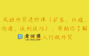 凤姐外贸进阶课（扩客，社媒，沟通，谈判技巧），帮助你了解如何快速入行做外贸