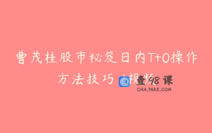 曹茂桂股市秘笈日内T+0操作方法技巧 1视频